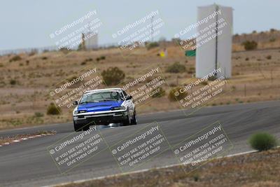 media/May-03-2025-Lucky Dog Racing (Sat) [[206de64b9d]]/Turn 6 (150pm-230pm)/